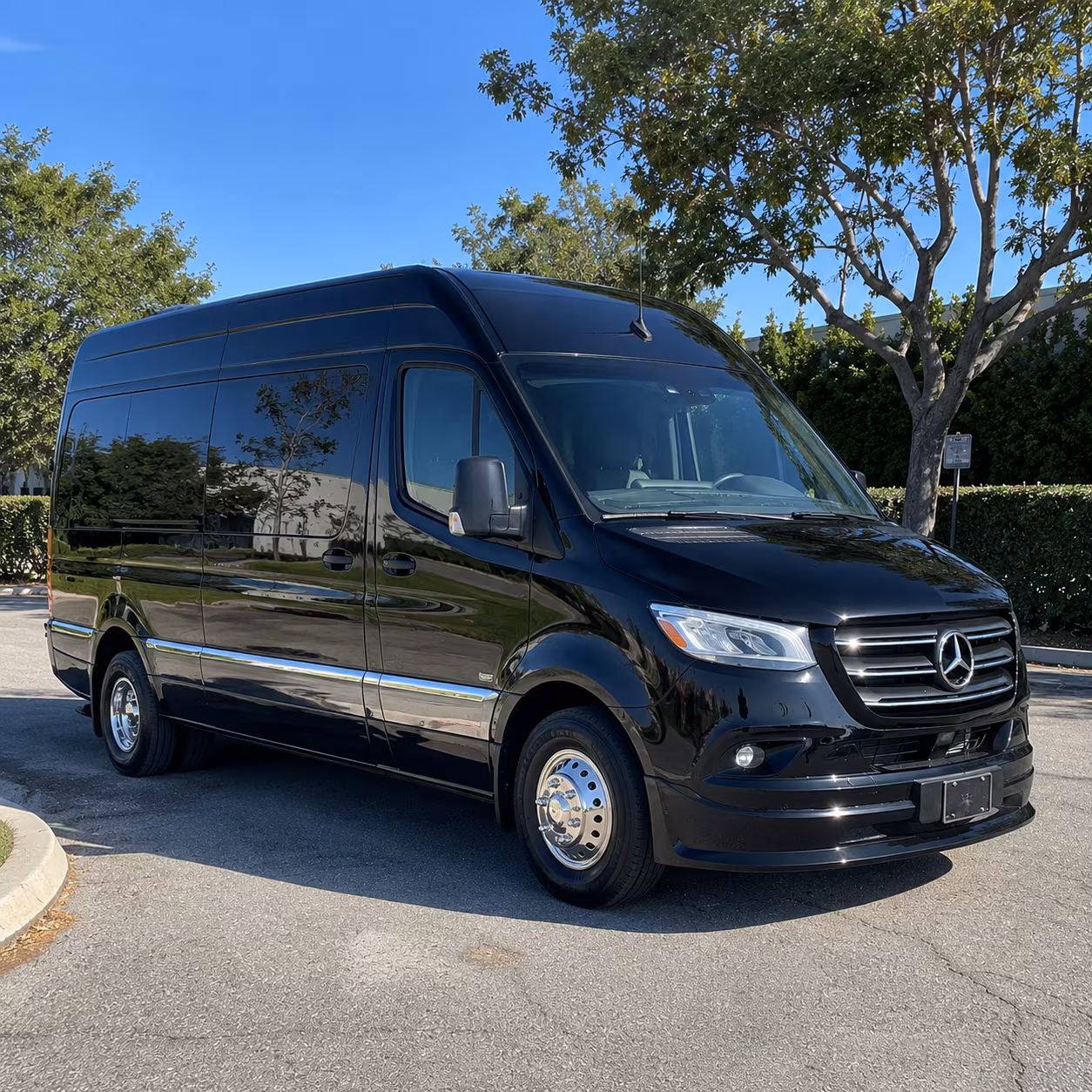 Meridian Airport Transportation
