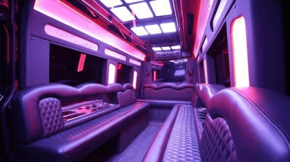 meridian 14 passenger sprinter limousine interior