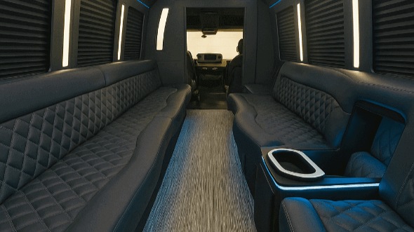 meridian 20 passenger party bus rental